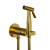 Гигиенический душ PAINI Castello Round, встраиваемый, брашированное золото PVD (PJ) (CAPJ442R)