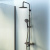 Am.Pm X-Joy, душ.система: см-ль д/ванны/душа с ТМС, душ.штанга,верхний душ 220мм, ручн душ,черный (F0785A522)