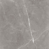 Керамогранит Encanto_GT Серый 60x60 _ 1\43,2 (GT60603001MCR)