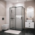 Душ.ограждение 120.K33.05.1280.21.02 Style (120*80*195) черный матовый, стекло шиншилла, 2 места (120.K33.05.1280.21.02)