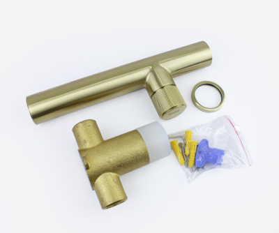 Смеситель настенный AVANTGARDE бронза (2021GB)