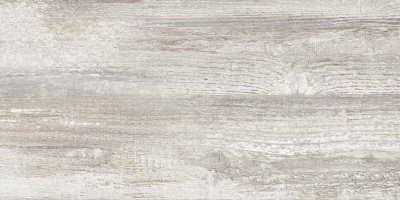 Керамогранит Antares_GT Сер. 30x60 1\58,32 (GT225VG)