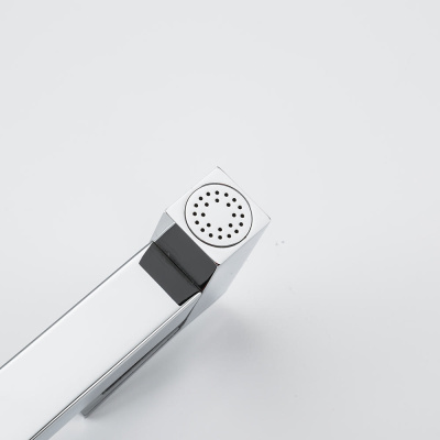 Gappo встраиваемый гигиенический.душ (G7218)