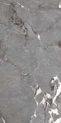 Керамогранит Pegasus_PGT Сер. 60x120 _ 1\46,08 (PGT1206010201SGR) Керамогранит Pegasus_PGT Сер. 60x120 _ 1\46,08 (PGT1206010201SGR)