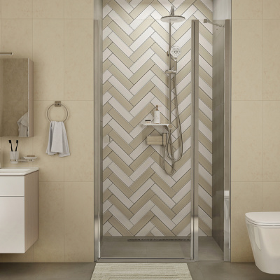 Душевая дверь распашная, глянцевый ал. проф., 110х195, Ray, IDDIS (RAY6CP1i69)