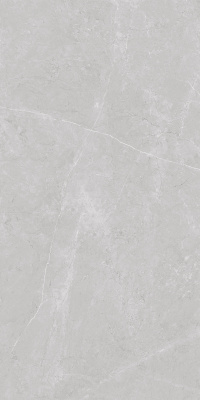 Керамогранит Nioba_GT Серый 60x120 _ 1\40,32 (GT1206013001LR)