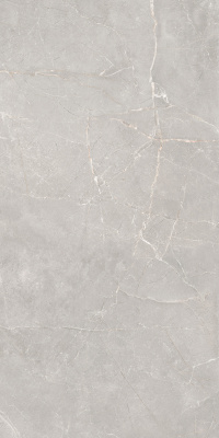 Керамогранит Sogdiana_GT Серый 60x120 _ 1\40,32 (GT1206012601SSR)