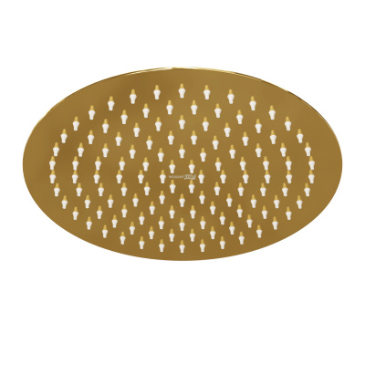 A208 Верхняя душевая насадка (A208)