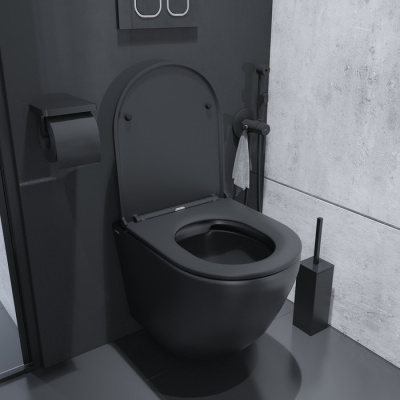 Унитаз подвесной безободковый, чёрный матовый, Blanco, IDDIS (BLAR3BMi25)