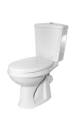 Унитаз "Элисса-Оптима" (43901130302)