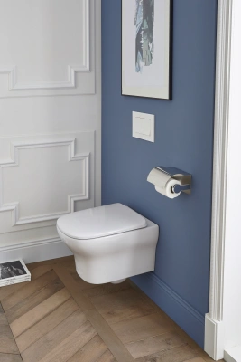 Безободковый подвесной унитаз Jacob Delafon VOX, белый (EDM102-00)