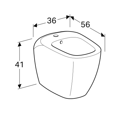 Биде напольное GeberitCitterio (500.538.01.1)