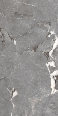 Керамогранит Pegasus_PGT Сер. 60x120 _ 1\46,08 (PGT1206010201SGR) Керамогранит Pegasus_PGT Сер. 60x120 _ 1\46,08 (PGT1206010201SGR)