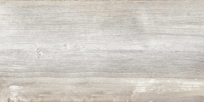 Керамогранит Antares_GT Сер. 30x60 1\58,32 (GT225VG)