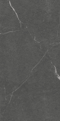 Керамогранит Lakeside_GT Черный 60x120 _ 1\46,08 (GT1206014305MCR)