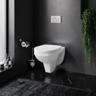 Damixa Jupiter подвесной унитаз с сиденьем микролифт (DX77C1738SC)