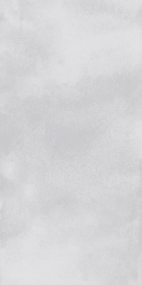 Керамогранит Apollo_GT Серый 60x120 _ 1\46,08 (GT1206019301SPR)