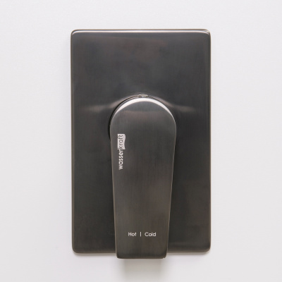 Wiese 8451 Смеситель для душа WasserKRAFT (8451)