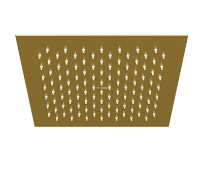 A198 Верхняя душевая насадка (A198)