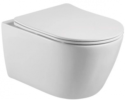 Унитаз подвесной Aquatek Бетта с сиденьем Soft Close (AQ1253W-00)