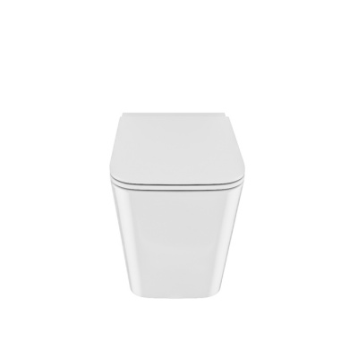 Унитаз приставной, безободковый, Bild, IDDIS (BILRDSEi26)