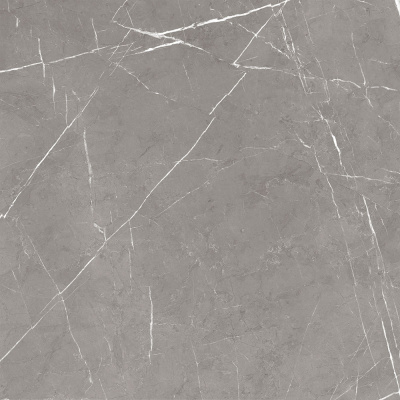 Керамогранит Encanto_GT Серый 60x60 _ 1\43,2 (GT60603001MCR)