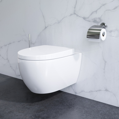 AM.PM AWE Подвесной комплект (зона туалета) (CK11FB) AM.PM AWE Подвесной комплект (зона туалета) (CK11FB)