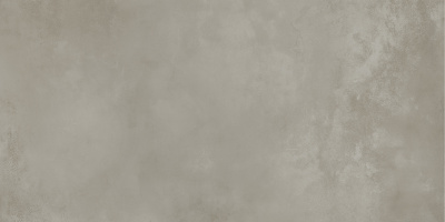 Керамогранит Onega_GT Серый 40x80 _ 1\38,4 (GT408013501MR)