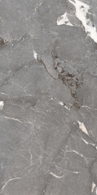 Керамогранит Pegasus_PGT Сер. 60x120 _ 1\46,08 (PGT1206010201SGR) Керамогранит Pegasus_PGT Сер. 60x120 _ 1\46,08 (PGT1206010201SGR)