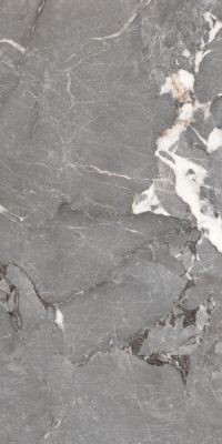 Керамогранит Pegasus_PGT Сер. 60x120 _ 1\46,08 (PGT1206010201SGR) Керамогранит Pegasus_PGT Сер. 60x120 _ 1\46,08 (PGT1206010201SGR)