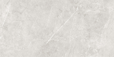 Керамогранит Bliss_GT Серый 40x80 _ 1\38,4 (GT40801401MCR)