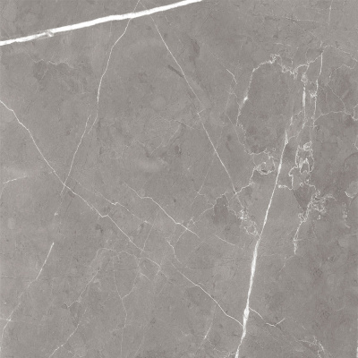 Керамогранит Encanto_GT Серый 60x60 _ 1\43,2 (GT60603001MCR)