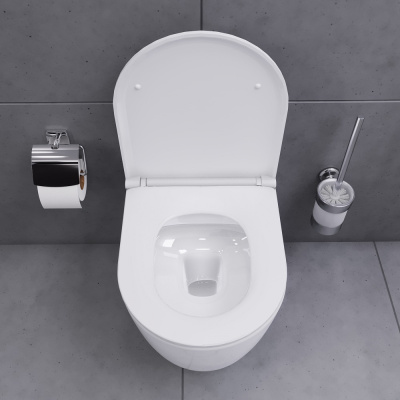 Damixa Sirius подвесной унитаз безободковый с сиденьем микролифт (DX86C1700SC)