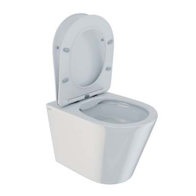 Унитаз подвесной безободковый, Calipso, IDDIS (CALRDSEi25)