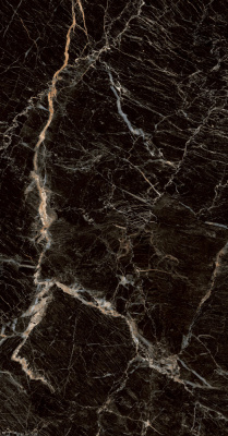 Керамогранит Zebrano_PGT Черн. 60x120 _ 1\46,08 (PGT1206010105MGR)