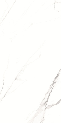 Керамогранит Alfanzo_GT Бел. 60x120 _ 1\46,08 (GT1206012003SPR)