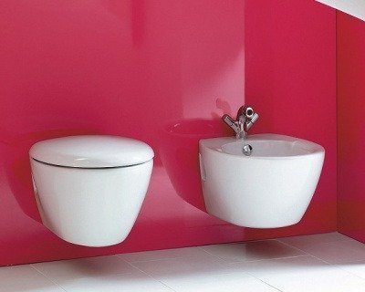 Унитаз подвесной Jacob Delafon - Presquile (E4440-00)