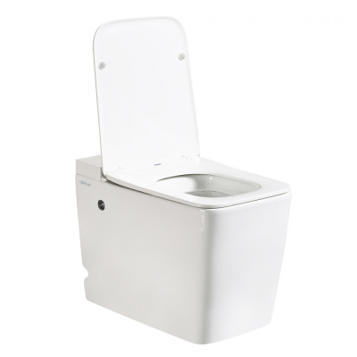 Унитаз ABBER Rechteck приставной белый с импульсным смывом (AC1212P) Унитаз ABBER Rechteck приставной белый с импульсным смывом (AC1212P)