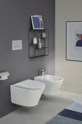 Jacob Delafon Rodin+ подвесной унитаз (EDY102-00)