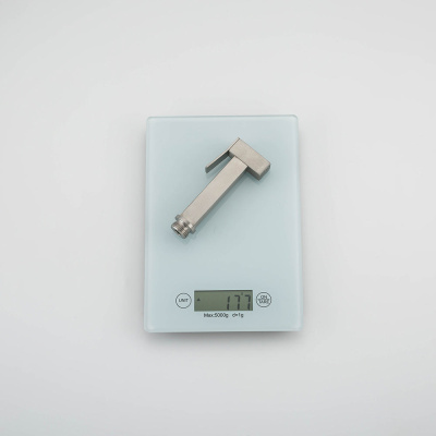 Gappo встраиваемый  гигиенический душ (G7299-20)