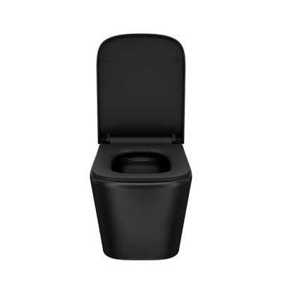 Унитаз подвесной безободковый, чёрный матовый, Bild, IDDIS (BILR2BMi25)