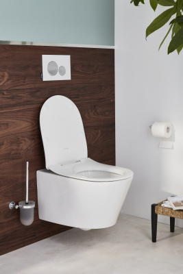 Подвесной унитаз Jacob Delafon Bastille без обода (EDAB102-00)