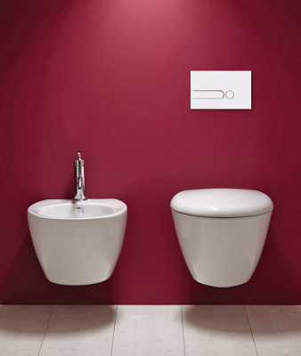 Смывная клавиша Jacob Delafon белая (E4326-00)