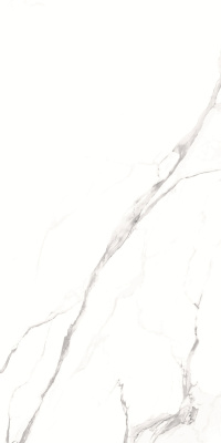 Керамогранит Alfanzo_GT Бел. 60x120 _ 1\46,08 (GT1206012003SPR)