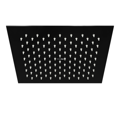 A199 Верхняя душевая насадка (A199)