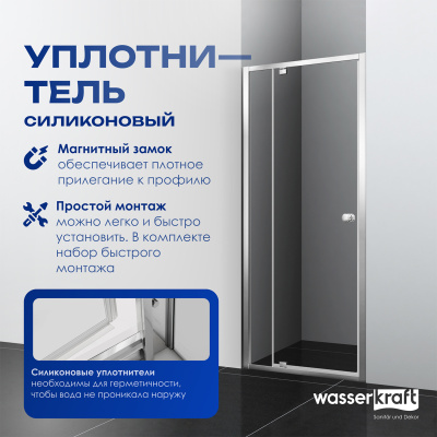 Душевая дверь WasserKRAFT Aula (11P04)