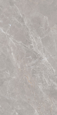Керамогранит Anatolia_GT Серый 60x120 _ 1\46,08 (GT1206019601MDGR)