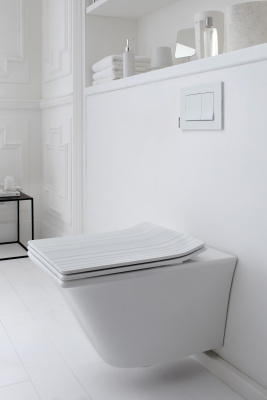 Подвесной безободковый унитаз Jacob Delafon Grand Boulevards (EDW102-00) Подвесной безободковый унитаз Jacob Delafon Grand Boulevards (EDW102-00)