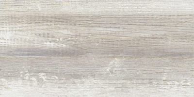 Керамогранит Antares_GT Сер. 30x60 1\58,32 (GT225VG)