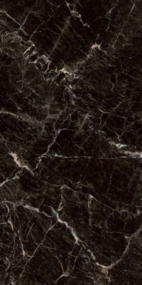 Керамогранит Zebrano_PGT Черн. 60x120 _ 1\46,08 (PGT1206010105MGR)